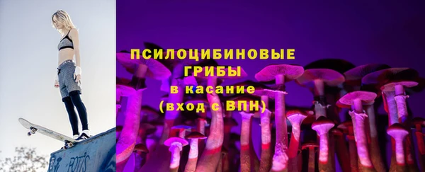 прущие крисы Белокуриха