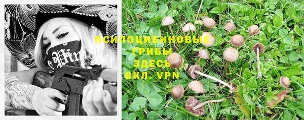марки lsd Белоозёрский