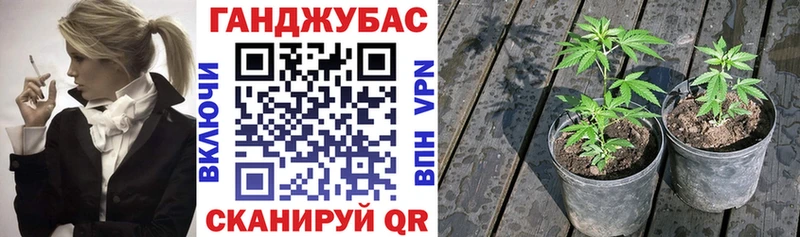 Канабис Amnesia купить наркотик Вольск